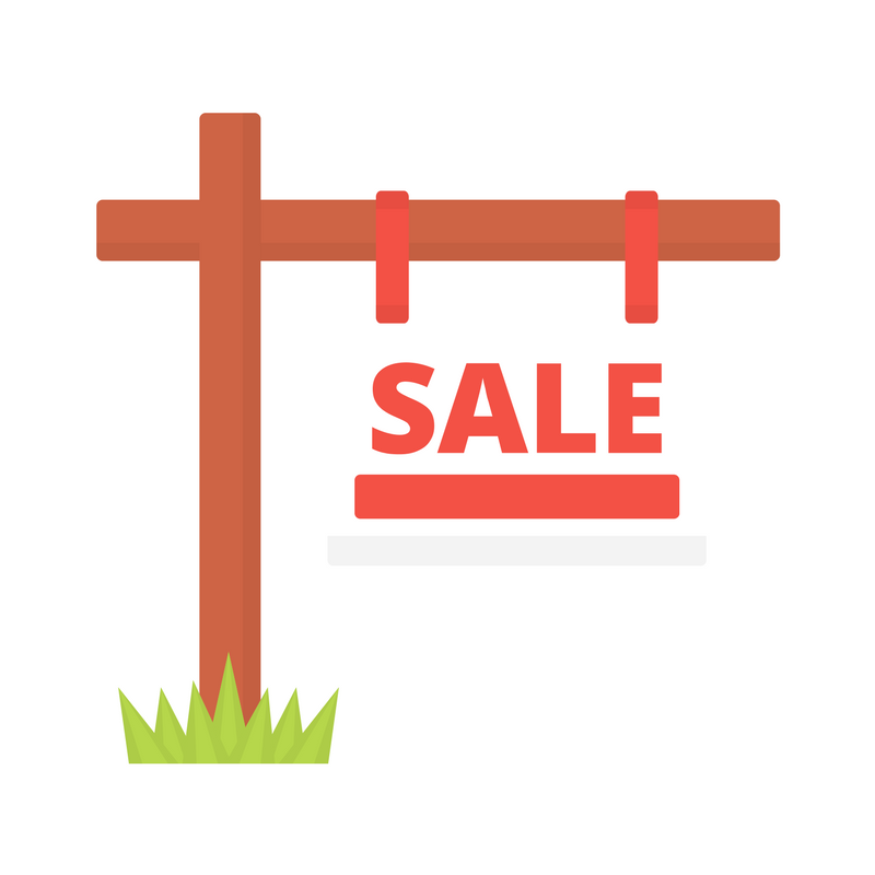 Selling a House After Mold Remediation